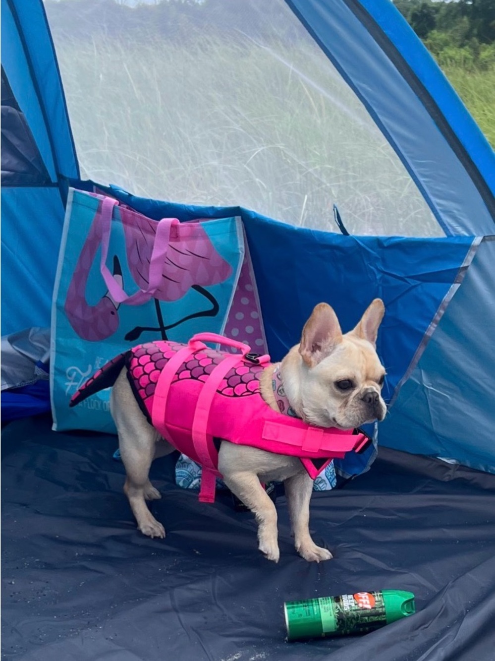 Bright Pink Dog Life Jacket with Mermaid Tail - Pet Safety Vest